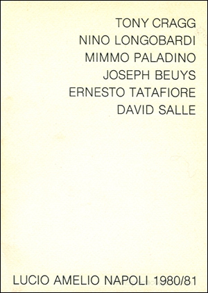 Tony Cragg, Nino Longobardi, Mimmo Paladino, Joseph Beuys, Ernesto Tatafiore, David Salle