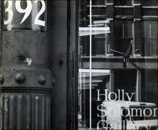 Holly Solomon Gallery : The First Two Years