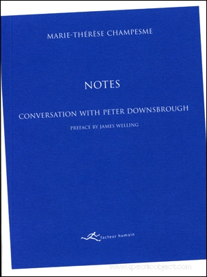 Notes - Conversation with Peter Downsbrough