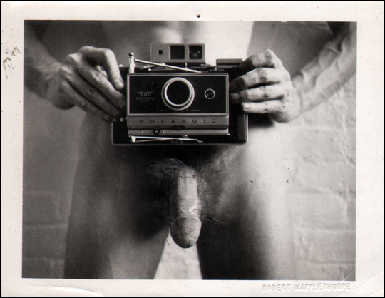 Robert Mapplethorpe Porn - Untitled (self-portrait) [Invitation to Robert Mapplethorpe's Exhibition at  Light Gallery Opening, January 6, 1973] - Specific Object