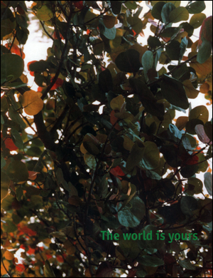 The World is Yours