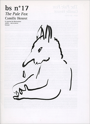 Le Journal de Bétonsalon, The Pale Fox : Camille Henrot