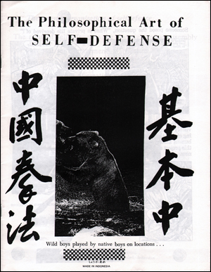 The Philosophical Art of Self-Defense