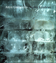Anya Gallaccio : Chasing Rainbows